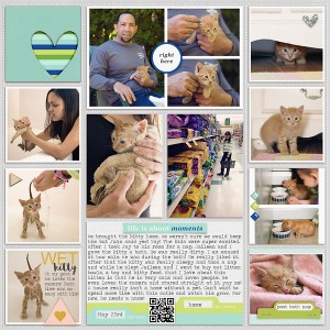 2015 Week 21- Kitty Insert right