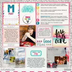 2015 Project Life Week 19 Left Side