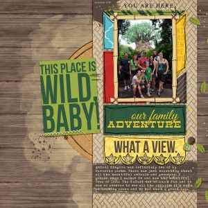 Our Family Adventure