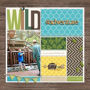 Wild-Adventure
