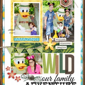 Our Family Adventure