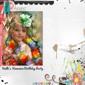hawaiian b-day party