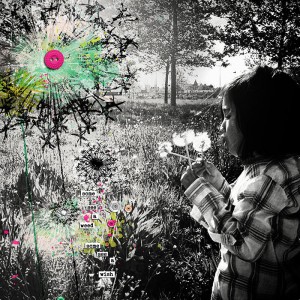 seeds of dreams
