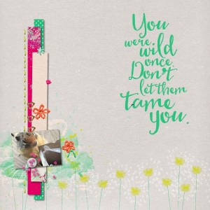 No taming allowed