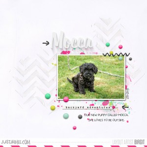 Puppy Outside