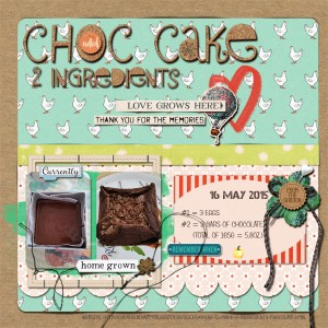 Choc Cake