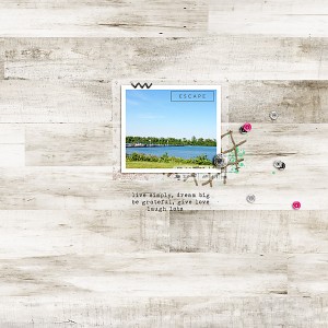 Escape to the Island
