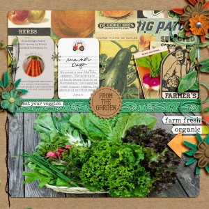 summer CSA