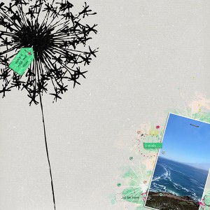 wish