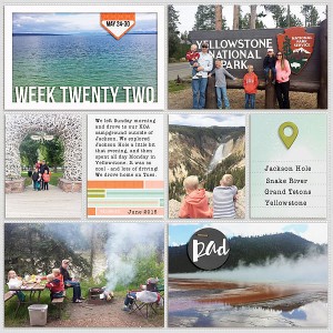 2015 week 22 - left side