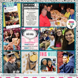 2015 Project Life Week 23 (Right Side)