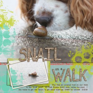 Snail On a Walk
