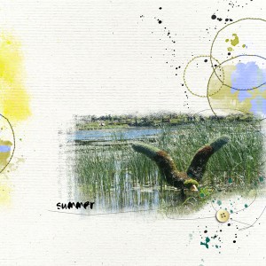 Summer Time
