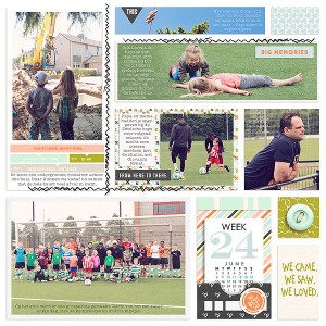 2015 week 24