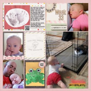 Week 33