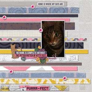 purrr fect