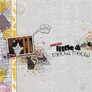 Little Meow