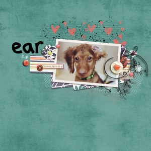 Ear Flip