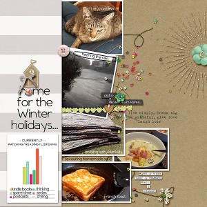 Home for the Holidays