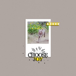 choose joy