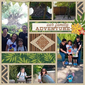 Animal Kingdom 4