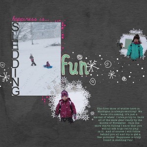 Sledding Fun