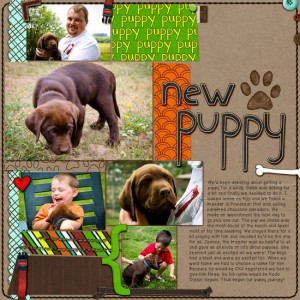 New Puppy