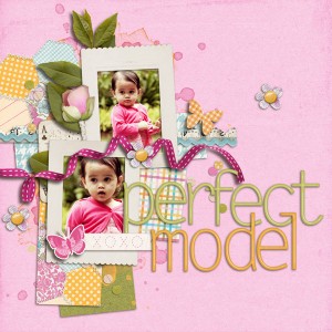Perfect Model