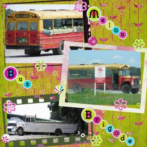 Melon Bus