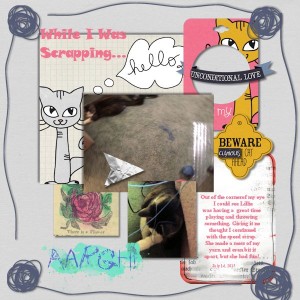 Watch the cat when scrapping