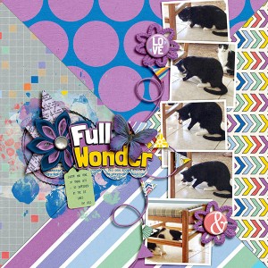 Full of Wonder