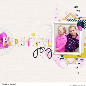 Beautiful Joy