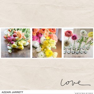 Spring Layout