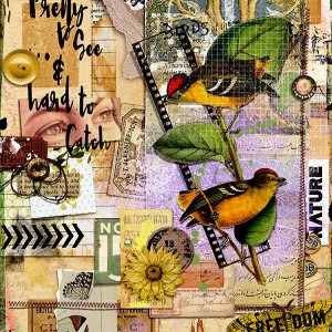NATURE COLLAGE