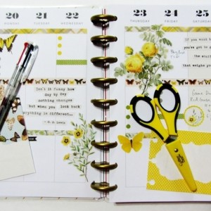 Planner Pages July 20-26