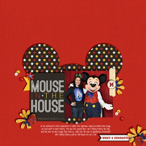 Mouse in the House