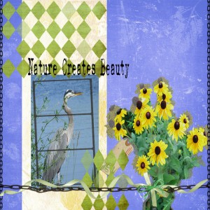 Nature Creates