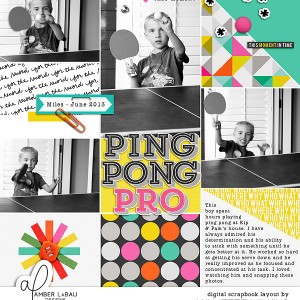 ping pong pro