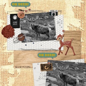 oh deer
