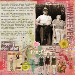 Cock & bull July 2015 2