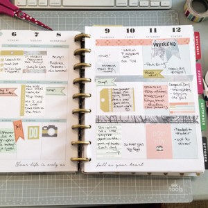 Mambi Planner | Viewpoint MPM