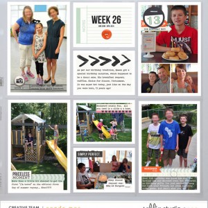 PL2015 - Week 26