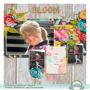 Bloom
