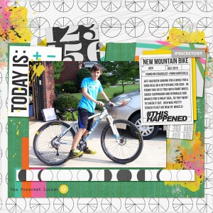 new mountain bike