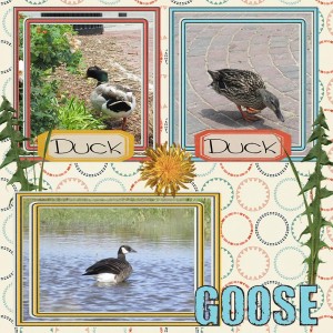 Duck, Duck, Goose