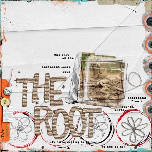 The Root