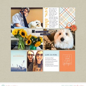 PL Wk 13 Page 2