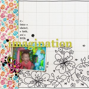Imagination