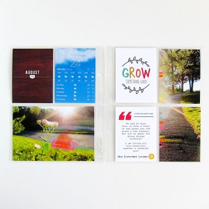 MPM August Visual Challenge