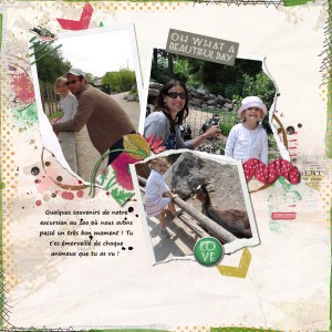 Excursion au zoo